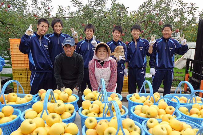 津軽・ほっとステイネットワーク りんご収穫