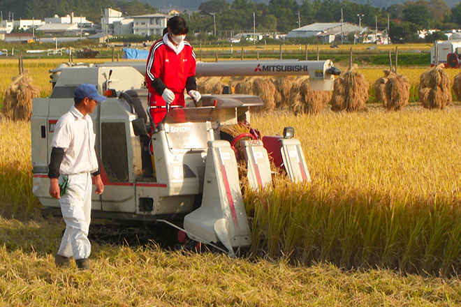 津軽・ほっとステイネットワーク 米の収穫
