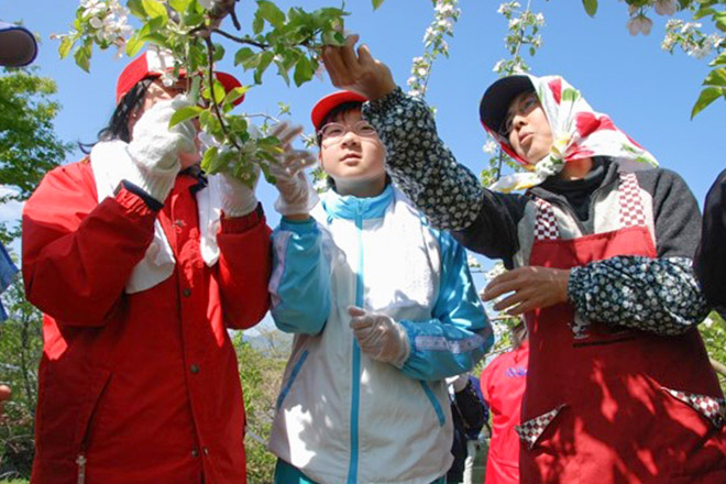 NPO法人青森なんぶの達者村 畑作業