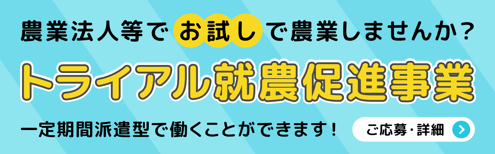 トライアル就農促進事業 参加者募集